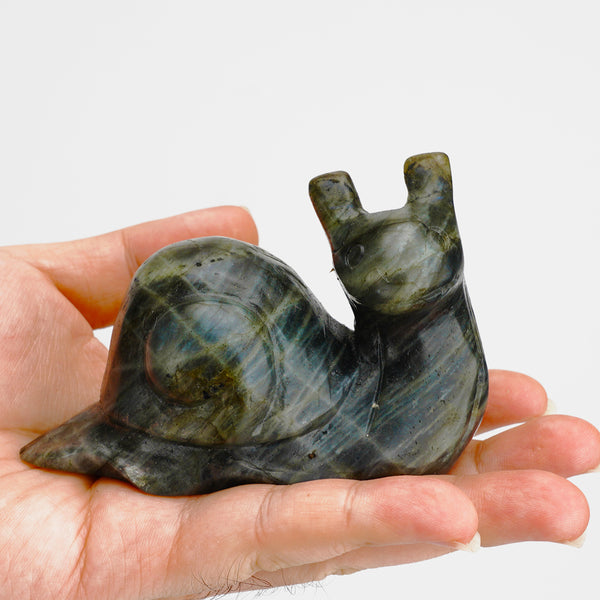 [Tiktok Live Sale] Labradorite Carving Snail【8-11cm】