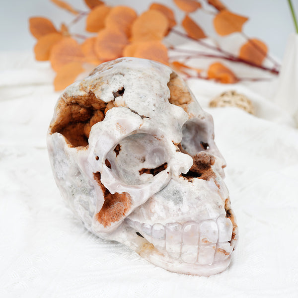 Agate Skull Head Carving【2700g】