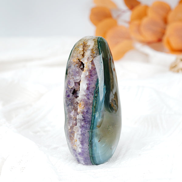 Agate Palm Stone With Geode【434g】