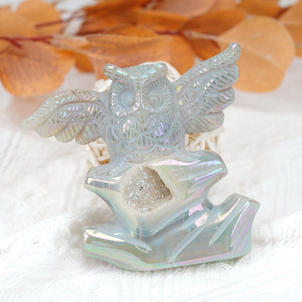 Agate owl Carving With Geode