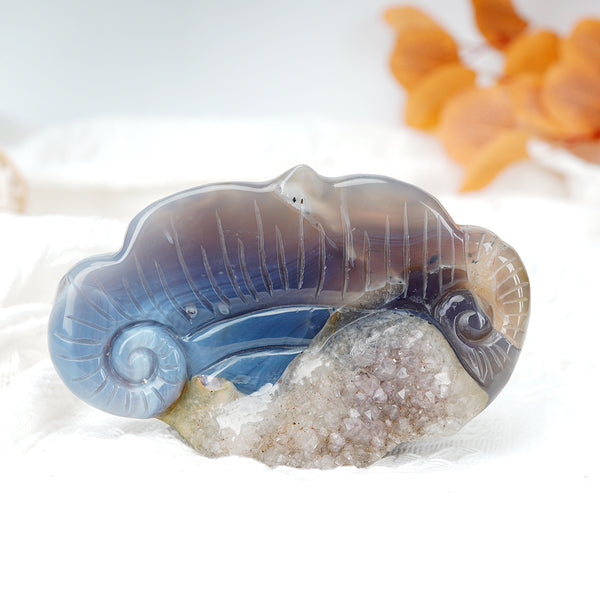 Agate Lizard Carving With Geode【665g】